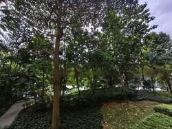 The Glades (D16), Condominium #464425581